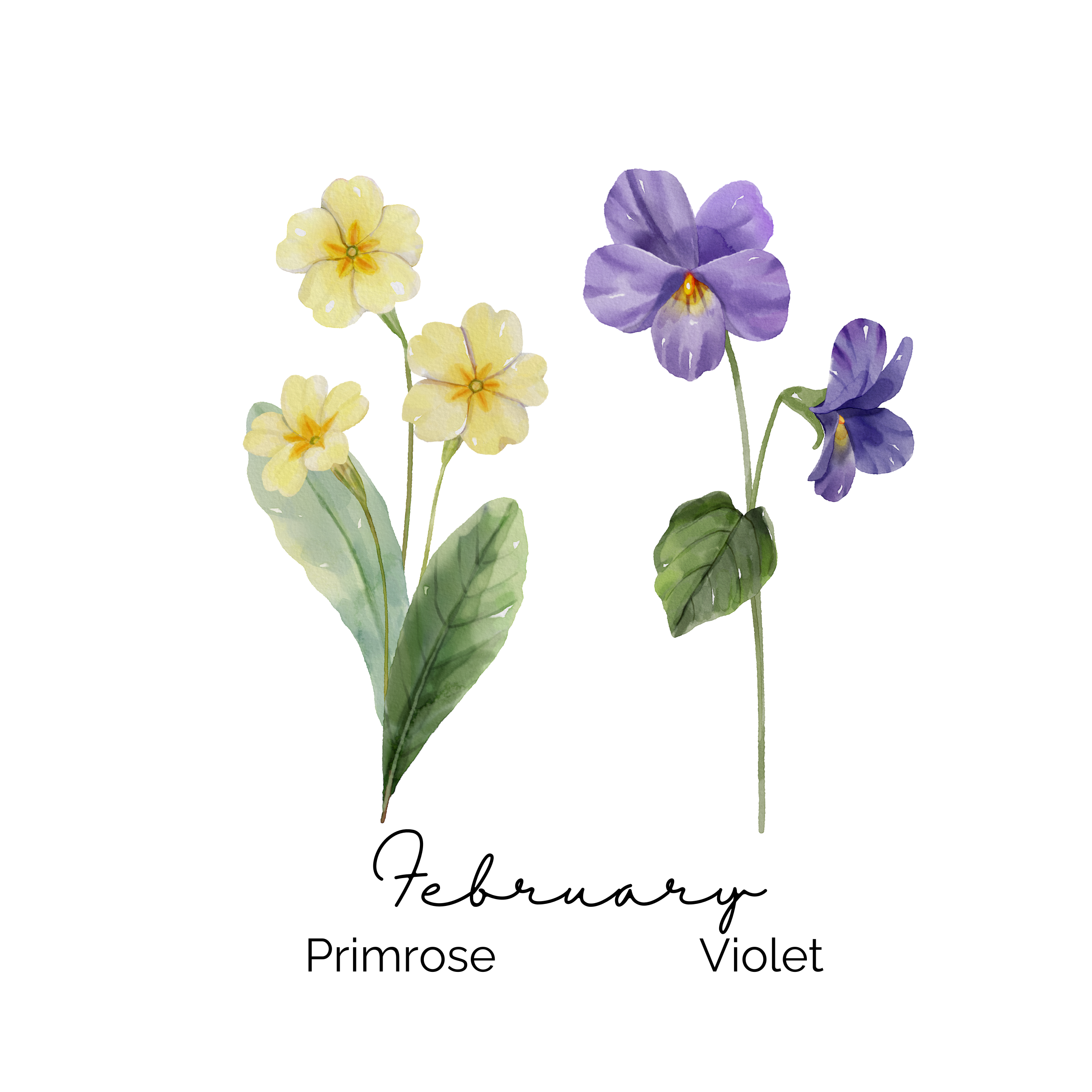 February Birth Flower ~ Grandma's Garden