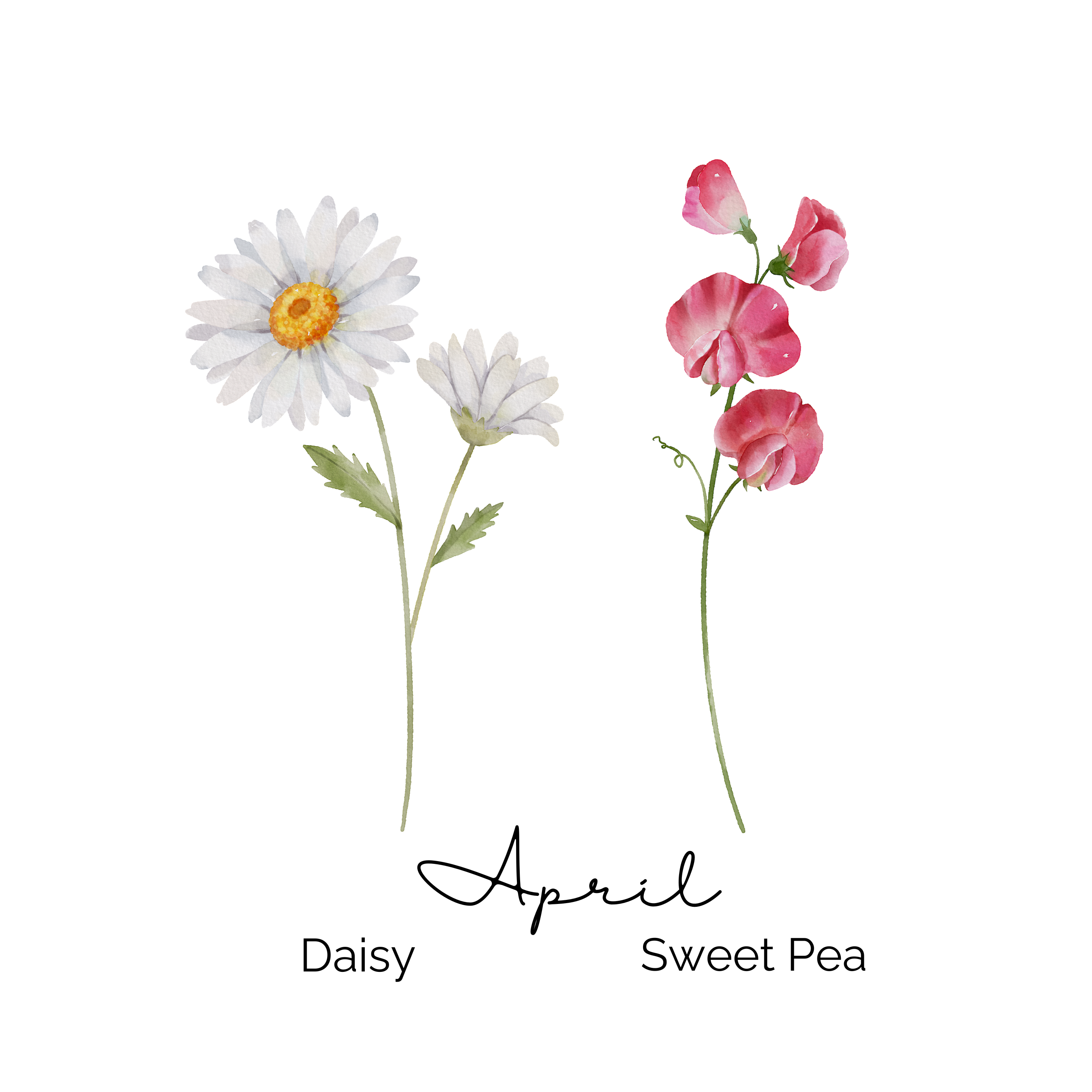 April Birth Flower ~ Grandma's Garden