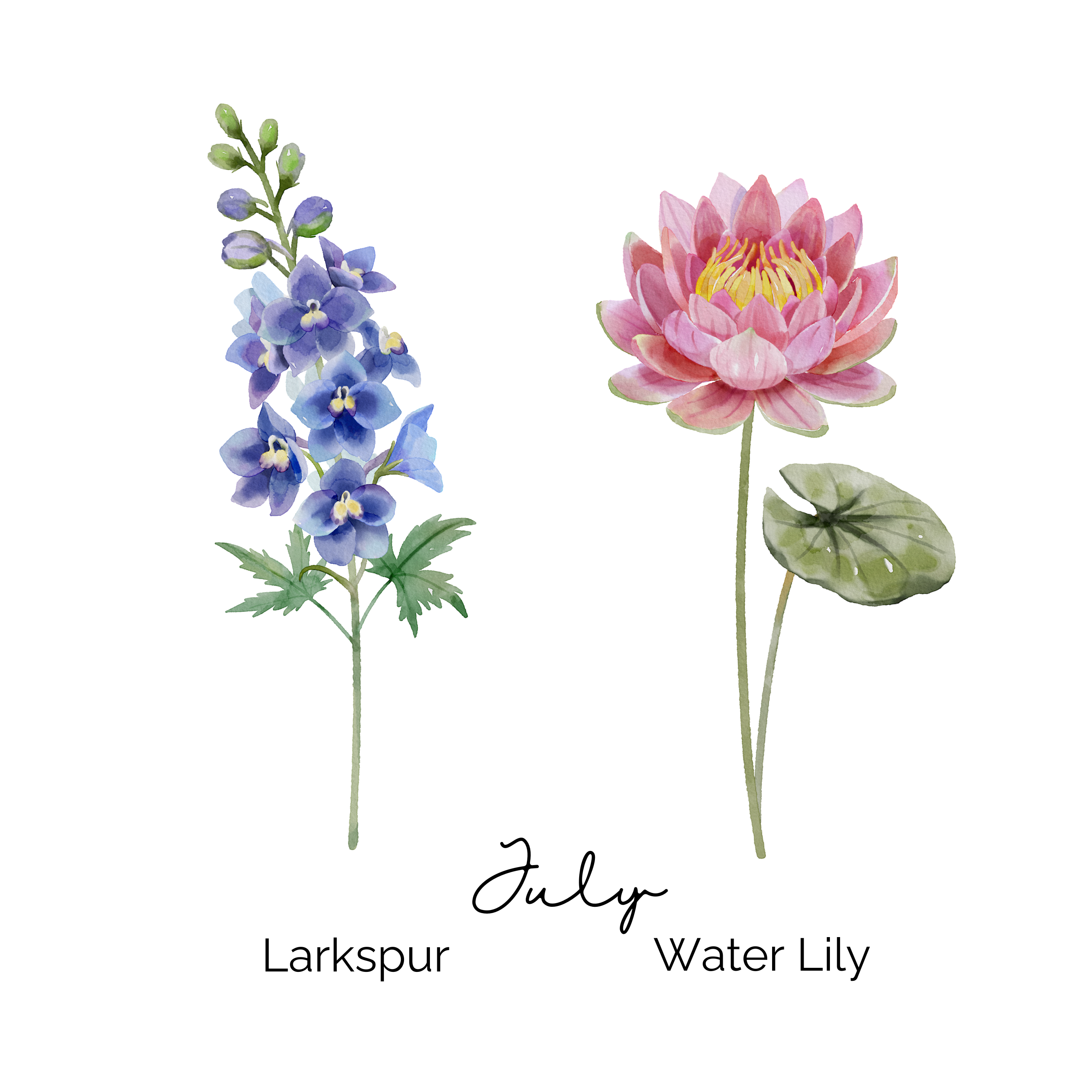 July Birth Flower ~ Grandma's Garden
