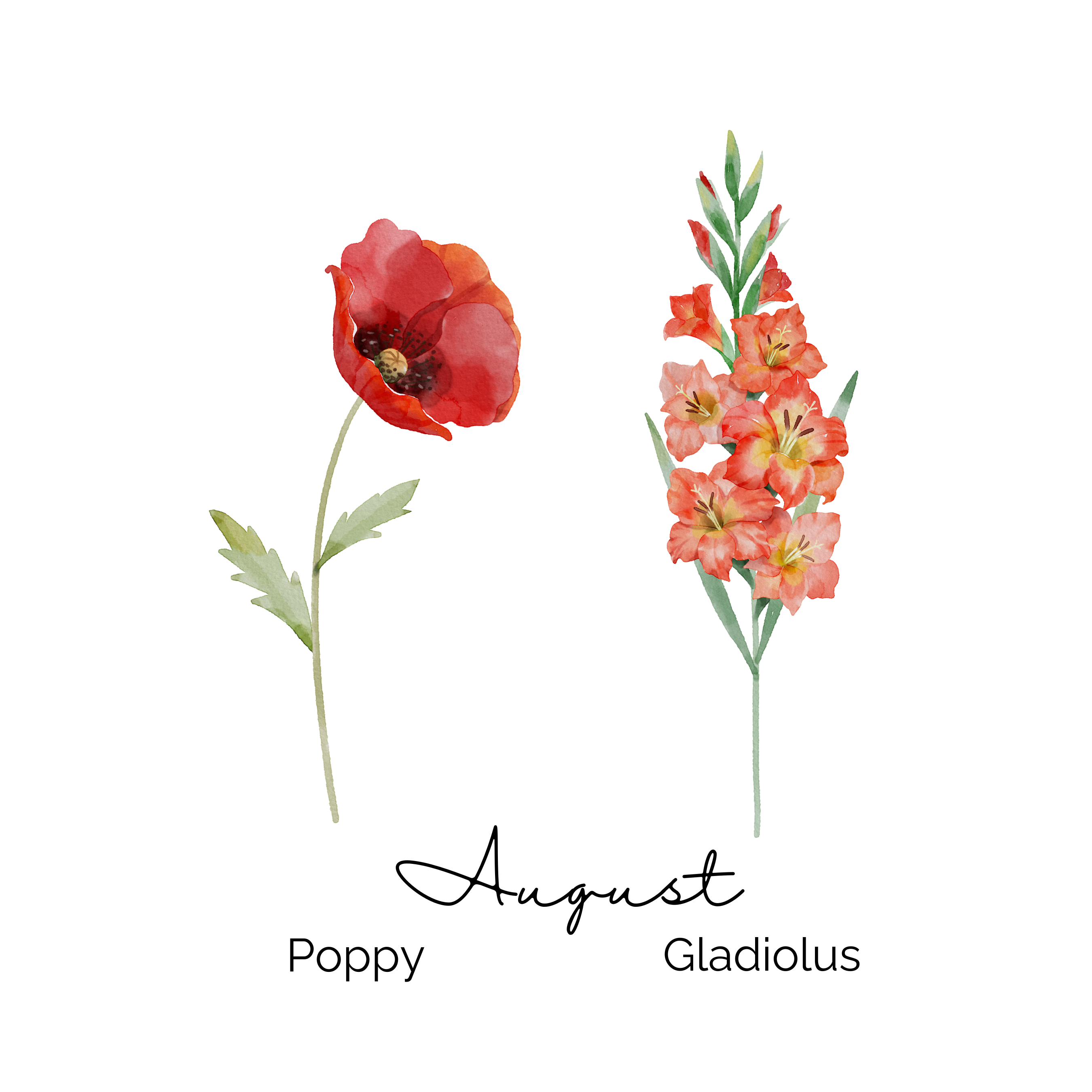 August Birth Flower ~ Grandma's Garden