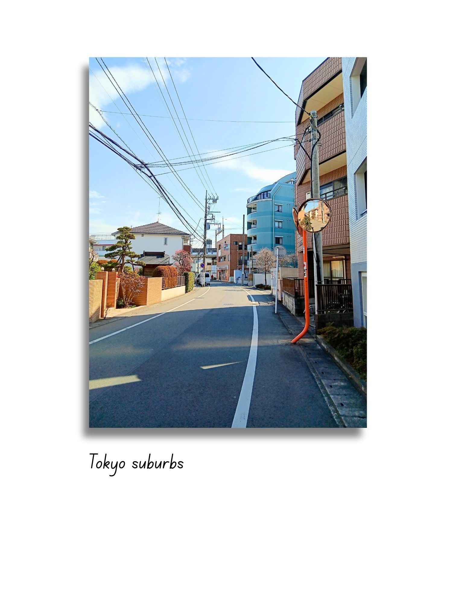 color photo